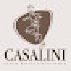 Centro Medico Fisioterapico Casalini Srl