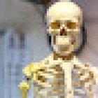 Francesca Pinna Osteopata