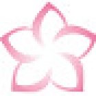 L'Etude De Bleuciel - SottoSopra ASD