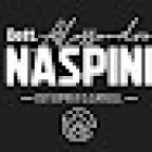 Osteopata Alessandro Naspini - Centocelle