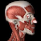 CENTRO OSTEOPATIA MILANO