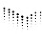 Martina Pucci - Osteopata Roma - D.O.