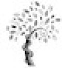 Centro Macla - Studio Medico Posturale e Dentistico