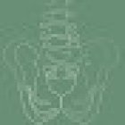 Martina Palombi Osteopata