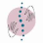 STUDIO ALTEA - Osteopata Dott.ssa Giulia Nuzzo