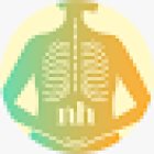 Studio Osteopatico NH