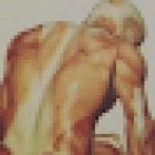 D.O. Osteopata Roi Emanuele Frazzetta