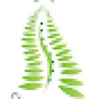 Life Chiropratica dr.Stefano Asnicar