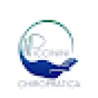 Piccinini Chiropratica